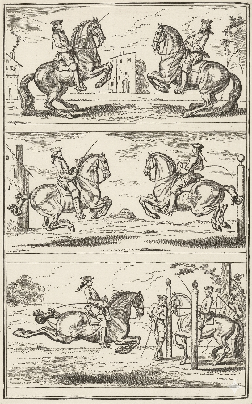 Academische rijkunst